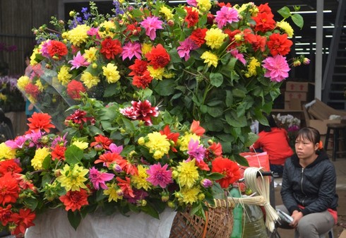 Hơn 30 triệu đồng một chậu hoa lan - ảnh 8