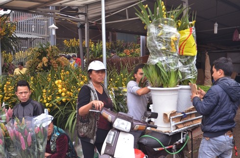 Hơn 30 triệu đồng một chậu hoa lan - ảnh 17