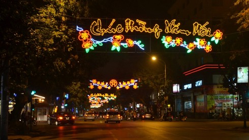 Hà Nội lung linh ánh đèn chào đón năm mới - ảnh 13