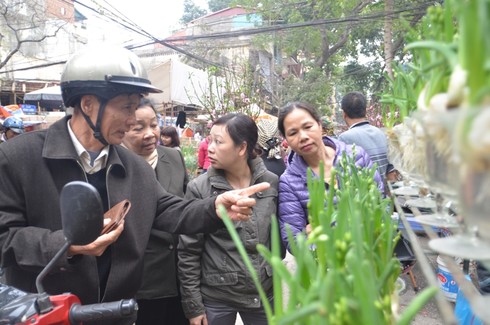 Chợ hoa Hàng Lược giữa phố cổ Hà Nội - ảnh 2