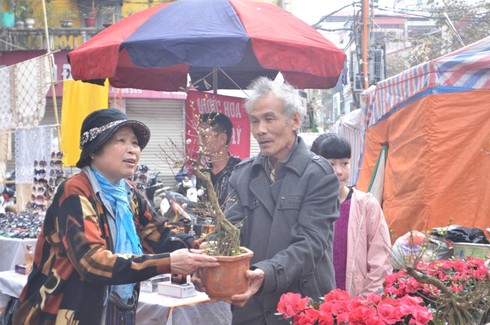 Chợ hoa Hàng Lược giữa phố cổ Hà Nội - ảnh 3