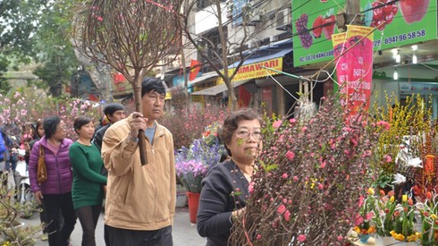Chợ hoa Hàng Lược giữa phố cổ Hà Nội - ảnh 1