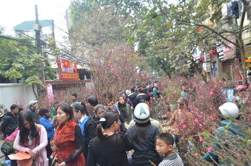 Chợ hoa Hàng Lược giữa phố cổ Hà Nội - ảnh 11