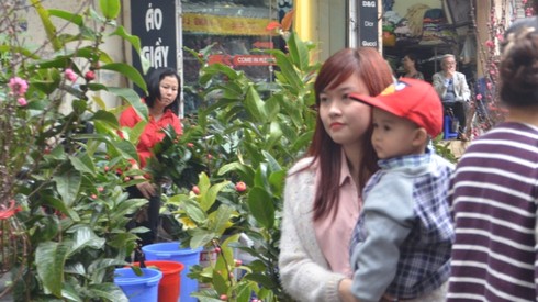 Chợ hoa Hàng Lược giữa phố cổ Hà Nội - ảnh 13