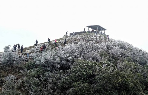 Lạng Sơn rét kỷ lục, băng tuyết phủ trắng Mẫu Sơn - ảnh 1