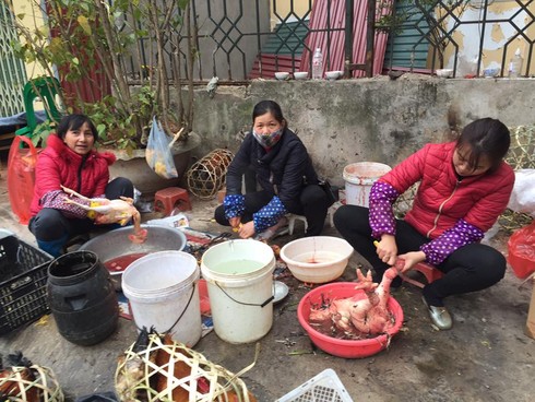 Dịch vụ nhổ lông gà, vịt thuê dịp Tết hút khách - ảnh 2