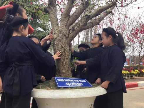 'Đường hoa xuân xứ Lạng' dài gần 1km - ảnh 4