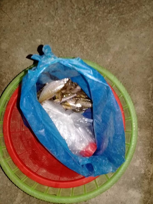 Lạng Sơn: Bắt quả tang 3 công nhân thả hóa chất độc xuống suối - ảnh 3