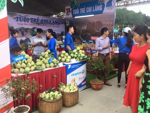 Thương lái Hà Nội lùng mua gom na Lạng Sơn giá cao - ảnh 1