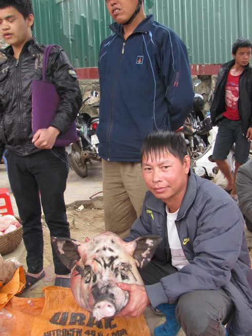 Thịt lợn rừng tràn phố xuân Lạng Sơn - ảnh 2