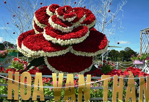Rực rỡ đêm khai mạc Festival hoa Đà Lạt 2017 - ảnh 3