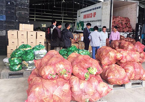 Chuyển quà Tết của Đà Lạt cho Trường Sa - ảnh 3