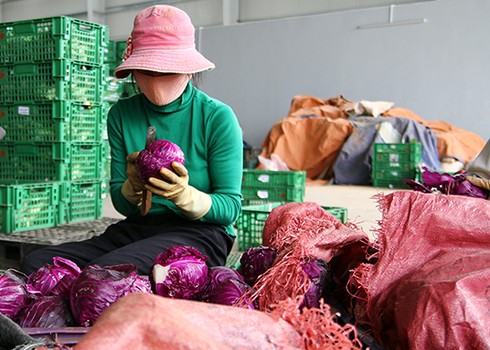 Chuyển quà Tết của Đà Lạt cho Trường Sa - ảnh 1