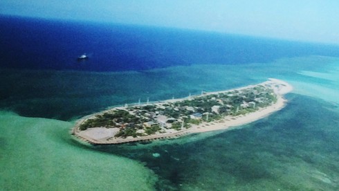 'Sức sống Trường Sa' qua triển lãm tại Đà Lạt - ảnh 2