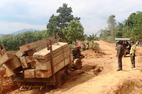 Hiện trường vụ vận chuyển gỗ trái phép