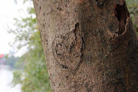 Những dấu ấn tình yêu “xấu xí” của bạn trẻ Hà thành - ảnh 7