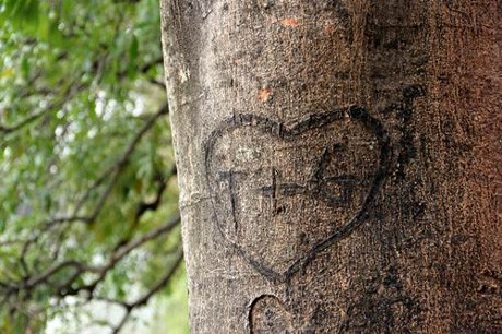 Những dấu ấn tình yêu “xấu xí” của bạn trẻ Hà thành - ảnh 8