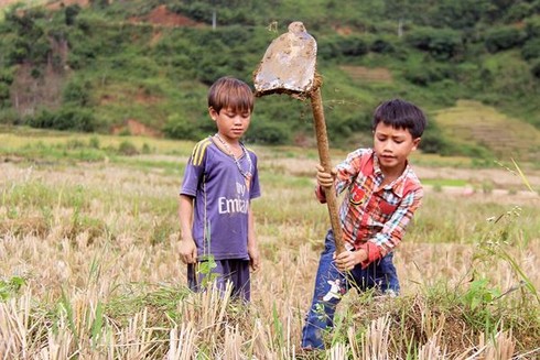 Phóng sự ảnh: Mưu sinh dưới chân núi Ngọc Linh - ảnh 11