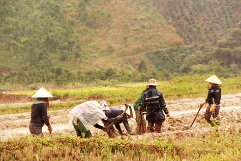 Phóng sự ảnh: Mưu sinh dưới chân núi Ngọc Linh - ảnh 5