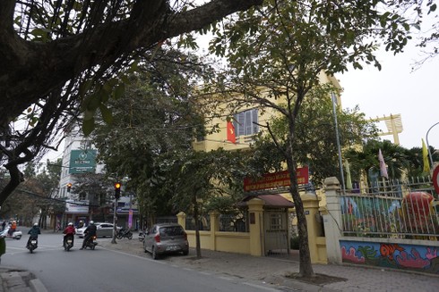 Hà Nội đỏ rực cờ hoa mừng Đảng mừng Xuân - ảnh 10