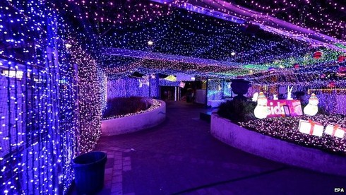Khu vườn đèn LED đẹp ở Australia - ảnh 1