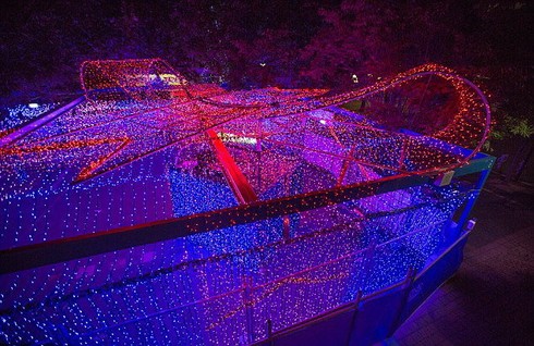Khu vườn đèn LED đẹp ở Australia - ảnh 3