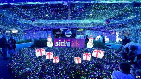 Khu vườn đèn LED đẹp ở Australia - ảnh 5
