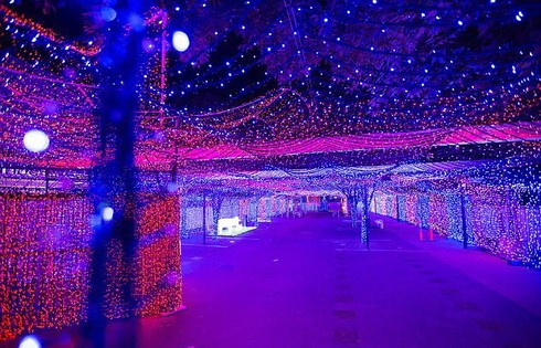 Khu vườn đèn LED đẹp ở Australia - ảnh 6