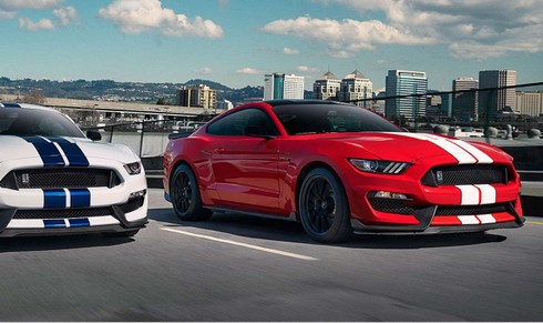Người dùng nào thích xe Tesla - ảnh 2