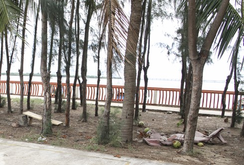 Công viên xanh Đống Đa, Quy Nhơn - ảnh 3