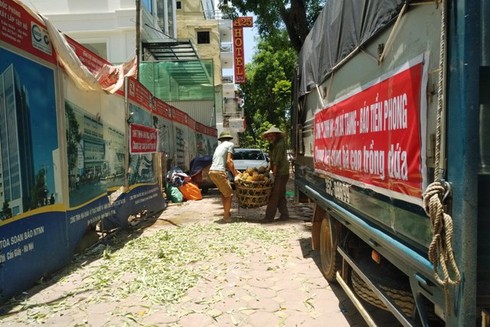 Công ty TNHH Công nông nghiệp Hà Trung - ảnh 1