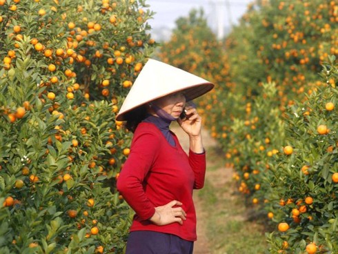 Không khí đón Tết Việt trên báo nước ngoài - ảnh 6