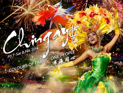 Lộng lẫy lễ hội đường phố Singapore - ảnh 3