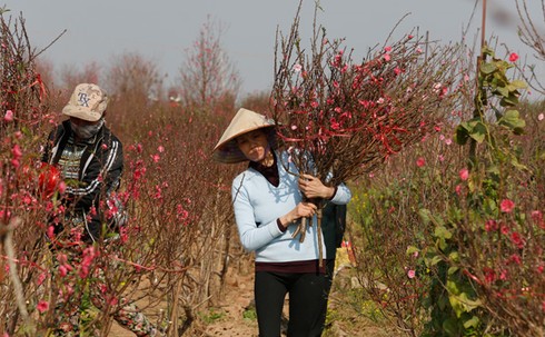 Hối hả đón xuân - ảnh 1