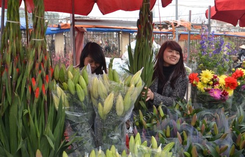 Hơn 30 triệu đồng một chậu hoa lan - ảnh 19
