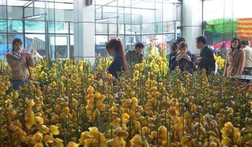 Hơn 30 triệu đồng một chậu hoa lan - ảnh 20