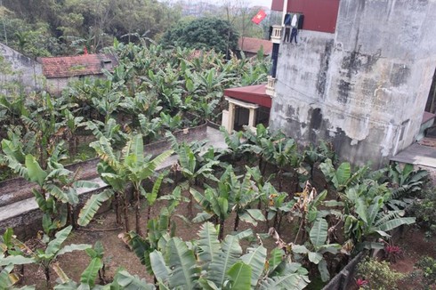 Vị quê ngày Tết - ảnh 2
