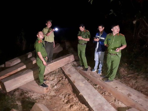 Công an huyện M’đrắk mật phục bắt vụ vận chuyển gỗ lậu