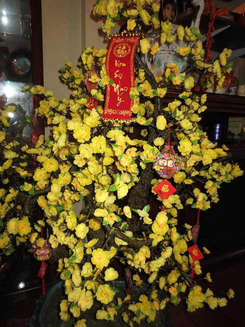 Tết Việt ở Tiểu bang New Jersey, Hoa Kỳ - ảnh 4