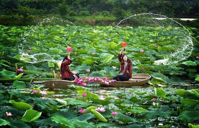 Muôn kiểu sắc màu hoa sen tại khuôn viên giảng đường rộng nhất Việt Nam ảnh 8