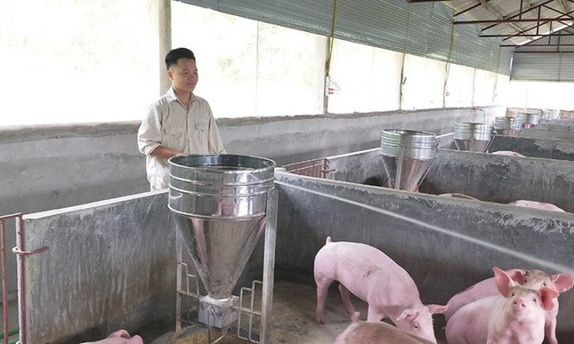 Cất tấm bằng đại học, chàng trai rời thành phố về quê mở trang trại “tiền tỷ“ ảnh 2