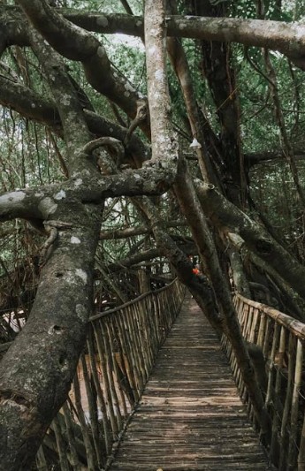 Đi biển gì tầm này, check-in “đổi gió” ngay với phố núi hoang sơ cùng giới trẻ Ban Mê ảnh 8