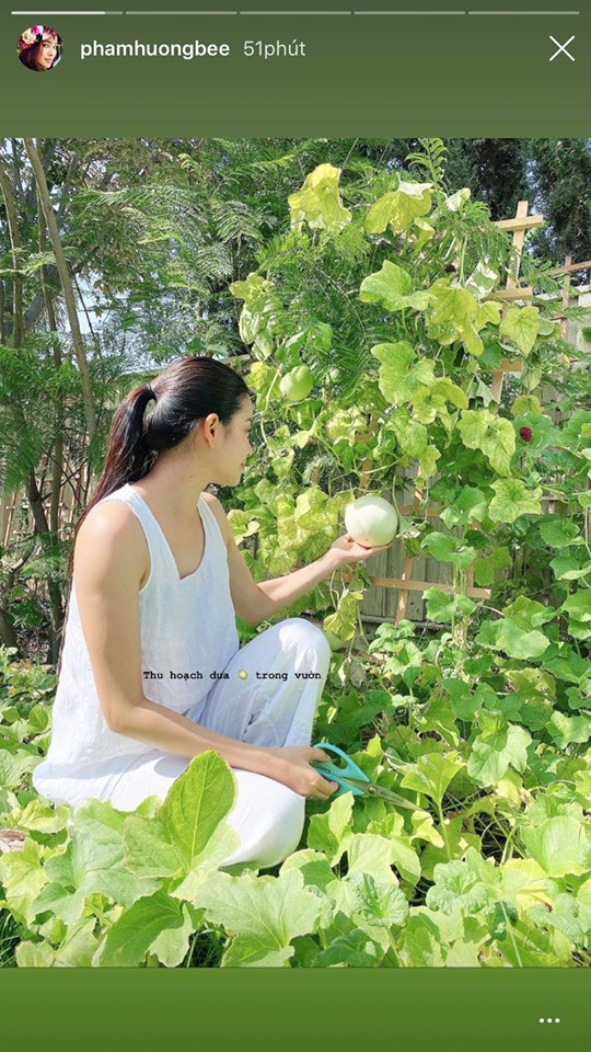 Hương Giang “tình tứ” trên du thuyền cùng bạn trai; Phạm Hương “đẫy đà” vì nghỉ dịch ảnh 16