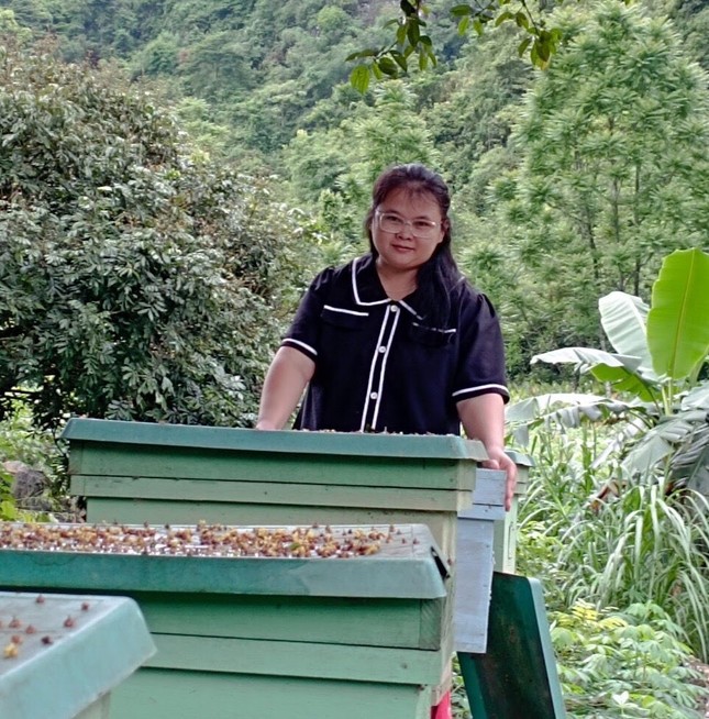 Cô gái về quê khởi nghiệp nuôi ong, mang lại thu nhập cao ảnh 1