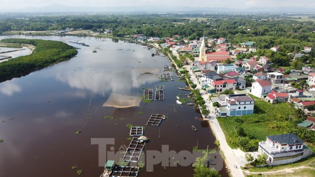 Nguyên nhân hơn 50 tấn cá lồng bè chết trắng, người nuôi thất thu hàng tỉ đồng ảnh 10