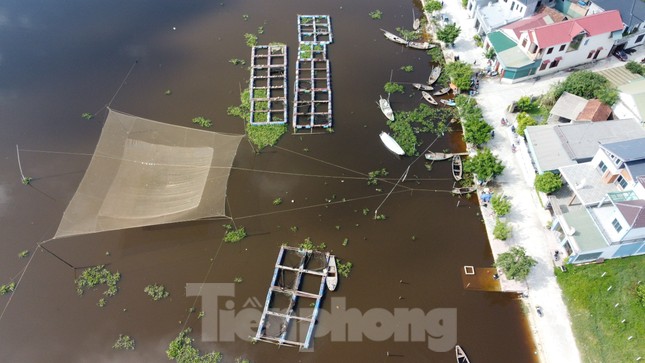 Nguyên nhân hơn 50 tấn cá lồng bè chết trắng, người nuôi thất thu hàng tỉ đồng ảnh 12