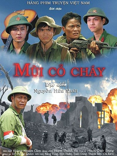 Cục gửi văn bản hỏa tốc cho Thanh tra Bộ, Netflix phản hồi về bản quyền ảnh 1