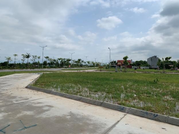 Đấu giá 110 thửa đất huyện ngoại thành Hà Nội ảnh 1