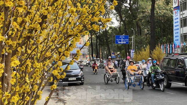 Có một ngày Tết thôn quê giữa lòng Sài Gòn ảnh 1
