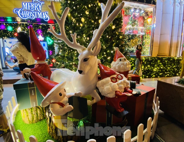 Người dân TPHCM rộn ràng đi chơi Noel sớm ảnh 15